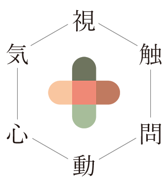 六診（視診・触診・問診・動診・心診・気診）を表す図